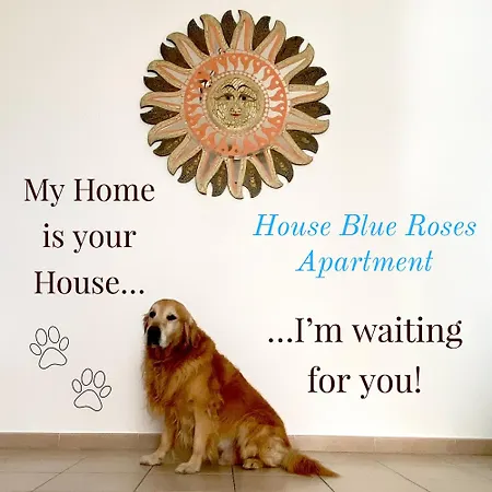 House Blue Roses Your Temptation In Puglia